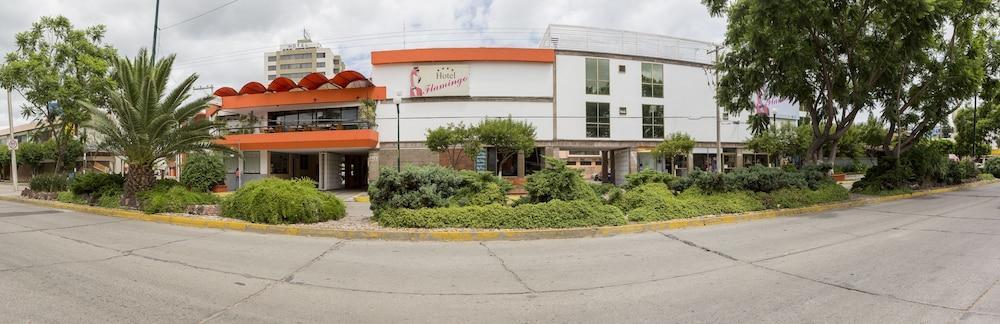 Hotel Flamingo Irapuato Ngoại thất bức ảnh